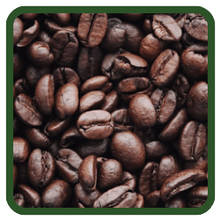 (image for) Blue Mountain Coffee Beans